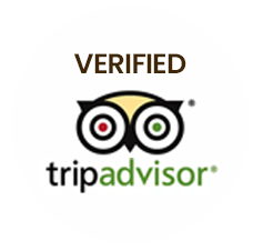 TripAdvisor verified dune buggy company in Dubai